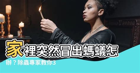 家裏突然有螞蟻|家裡有螞蟻怎麼辦？專家告訴你5招如何消滅螞蟻大軍。